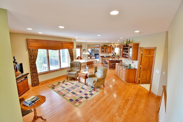 living room featuring light wood-type flooring