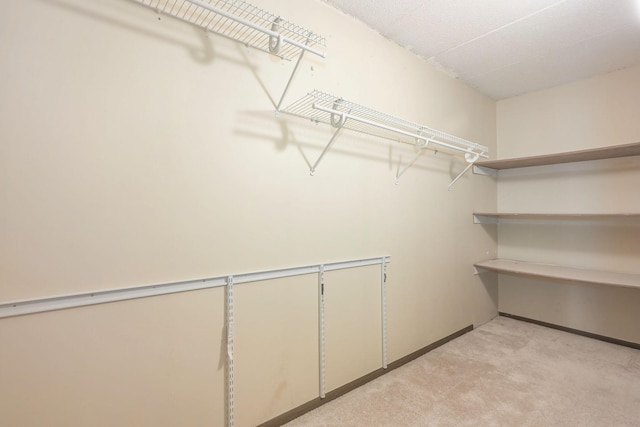 spacious closet with light carpet