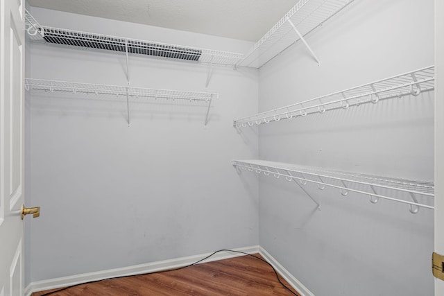 spacious closet with hardwood / wood-style flooring