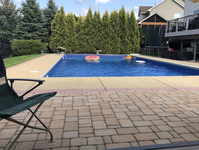 view of swimming pool featuring a diving board, a patio area, and a trampoline