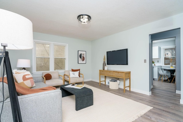 living room with wood-type flooring and a textured ceiling