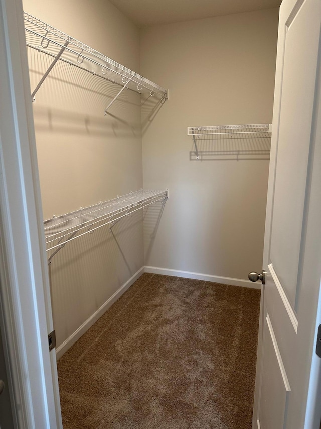 spacious closet featuring dark carpet