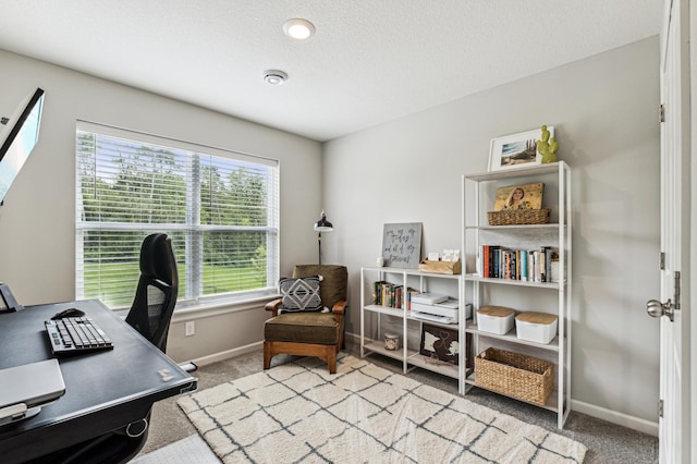 14592 Twin Lakes Cir, Burnsville, MN 55306 - home office featuring baseboards and carpet