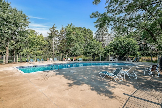 view of swimming pool with a patio