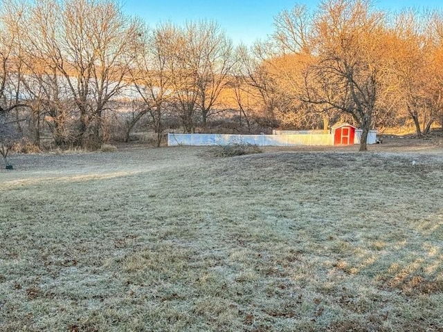 view of yard featuring a shed