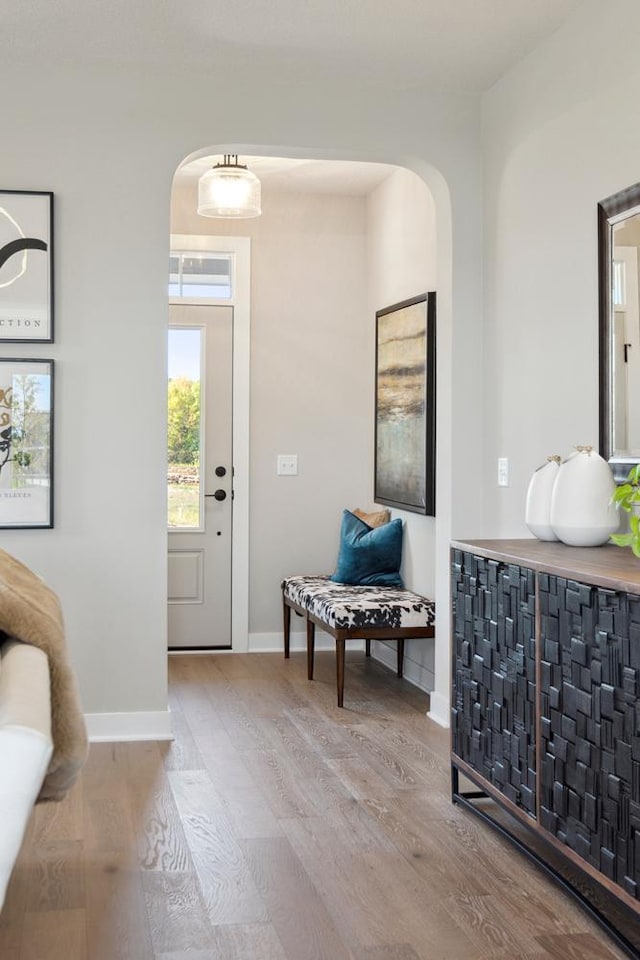 entrance foyer featuring light hardwood / wood-style flooring