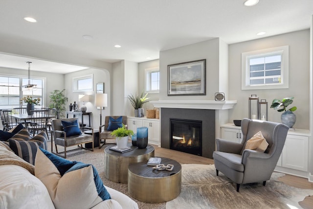 living room featuring a healthy amount of sunlight and light hardwood / wood-style floors