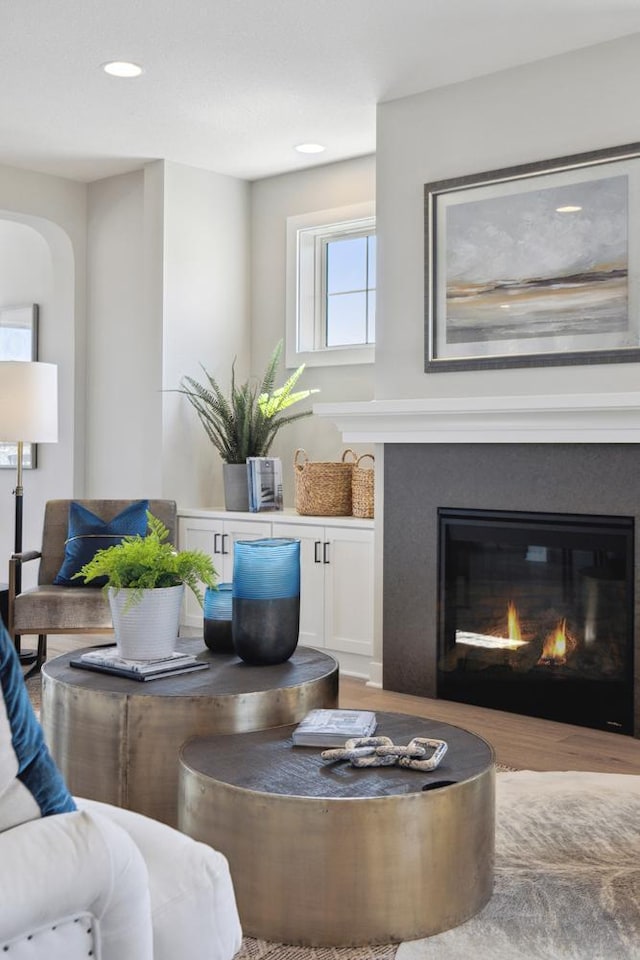 living room featuring light hardwood / wood-style floors