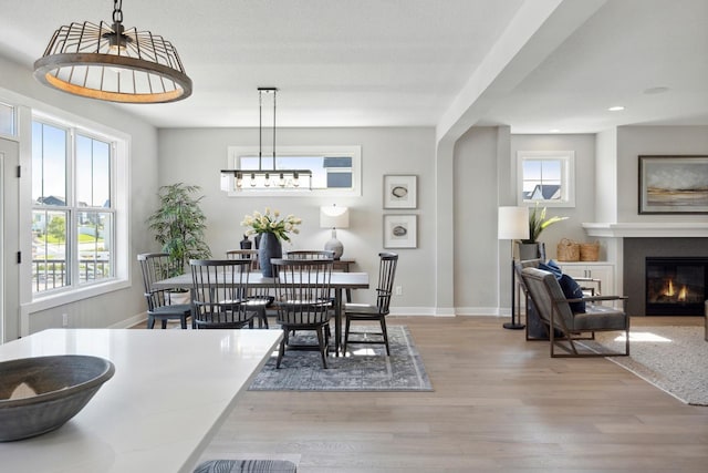 dining room with light hardwood / wood-style flooring