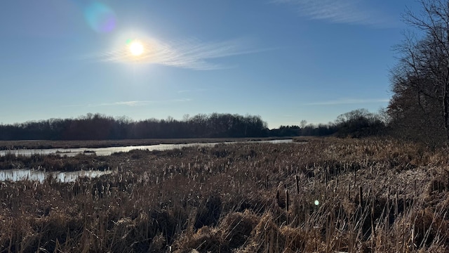 view of local wilderness with a rural view