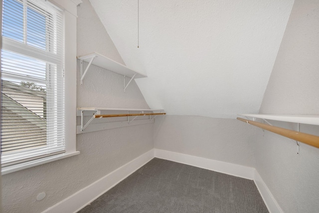 spacious closet with lofted ceiling and dark colored carpet