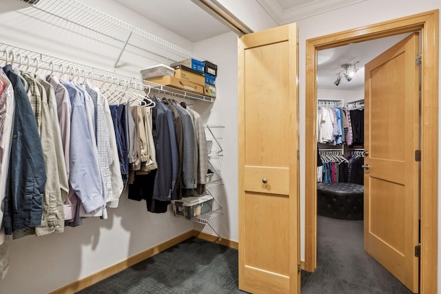 spacious closet with dark carpet