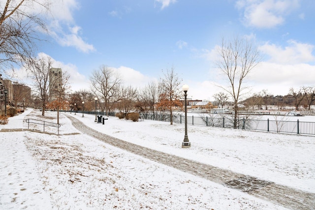 view of yard covered in snow