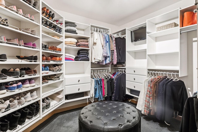 187 Sherman St, Saint Paul, MN 55102 - view of walk in closet