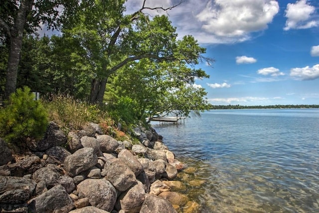 property view of water