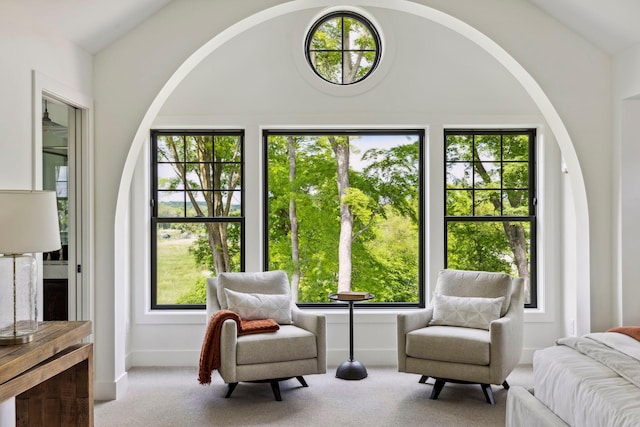 carpeted bedroom featuring vaulted ceiling