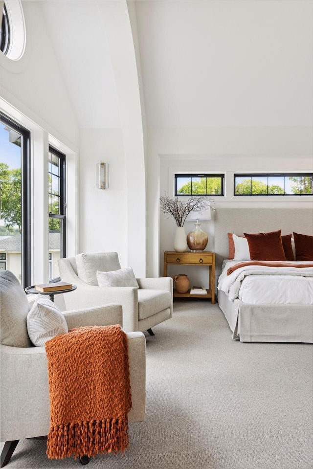 bedroom featuring carpet floors and high vaulted ceiling