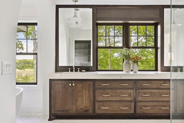 bathroom featuring vanity, a tub, and a wealth of natural light