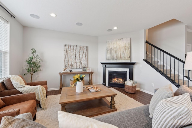 living room featuring wood-type flooring