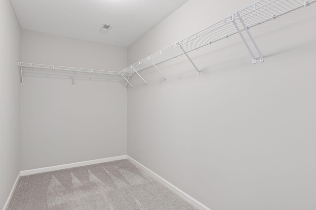 spacious closet featuring carpet