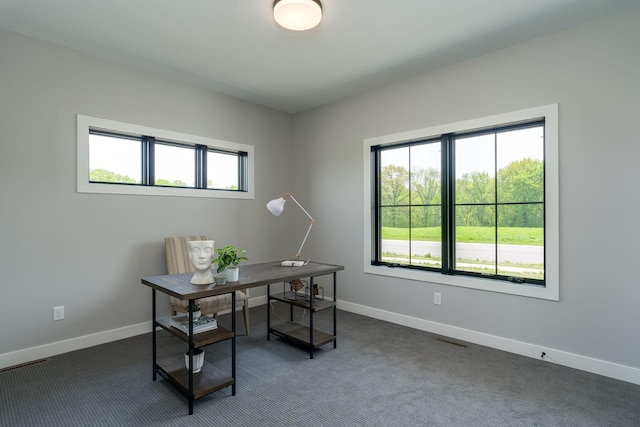 view of carpeted office