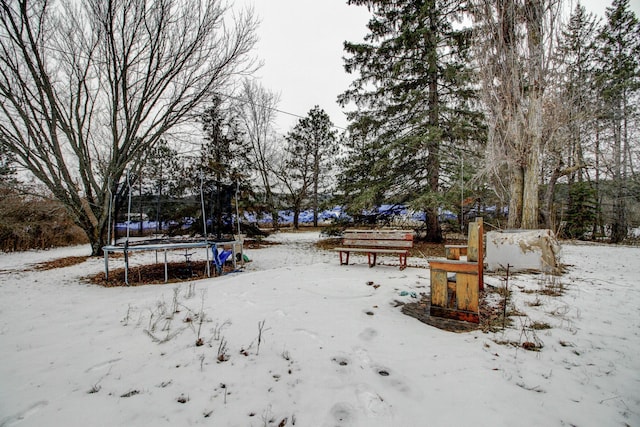 yard layered in snow with a trampoline