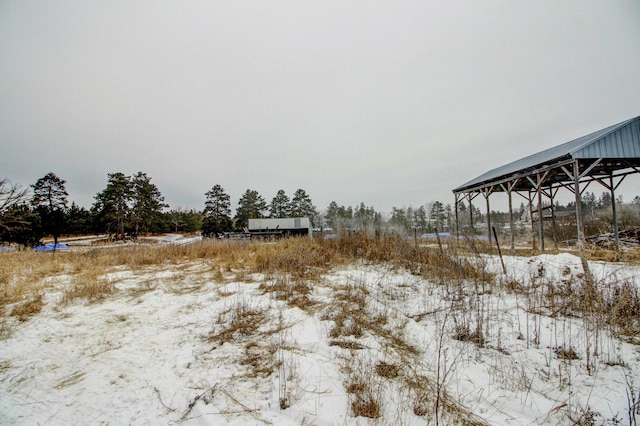 view of snowy yard