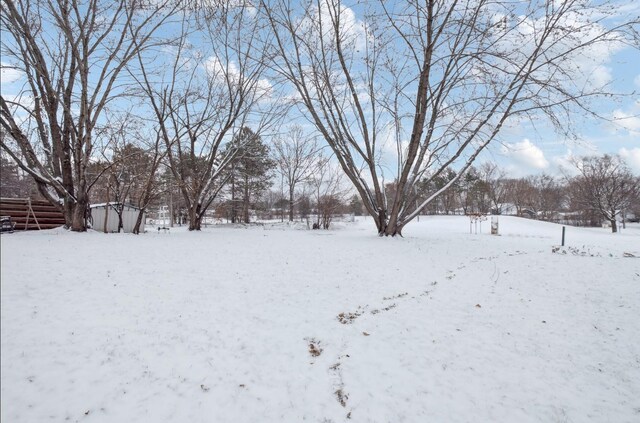 view of snowy yard