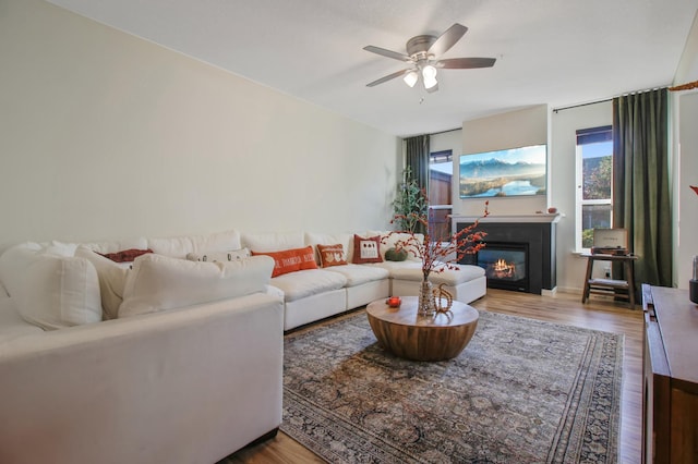 living room with ceiling fan and hardwood / wood-style flooring