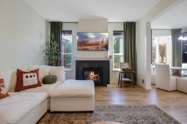 living room with hardwood / wood-style floors