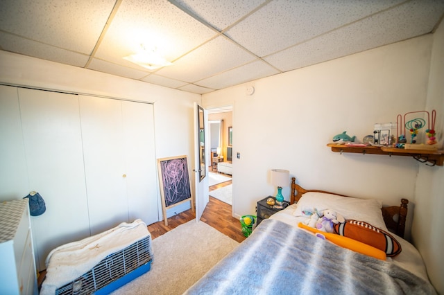 bedroom featuring wood-type flooring, a closet, and a drop ceiling