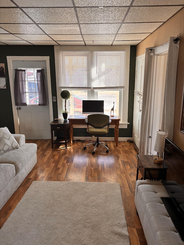 office space featuring dark hardwood / wood-style flooring and a paneled ceiling