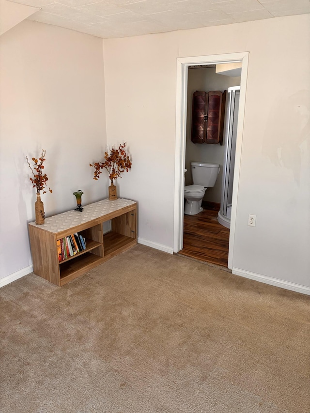 interior space featuring carpet floors