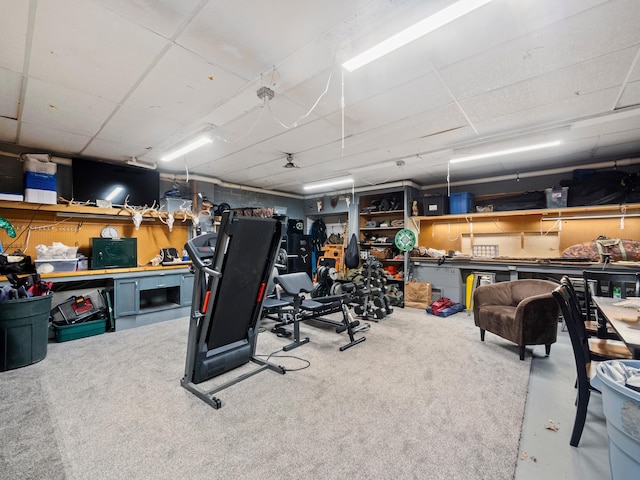 workout area with carpet flooring