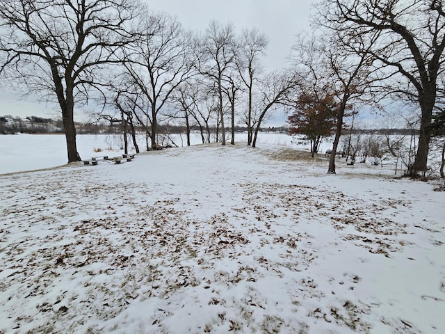 view of snowy yard