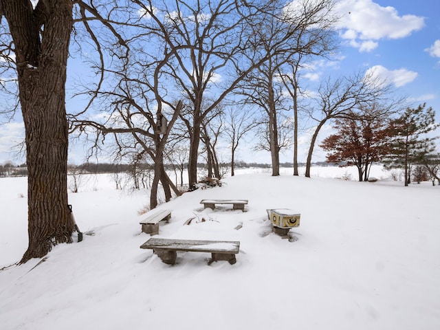 yard covered in snow with a garage