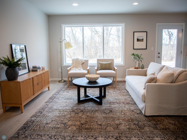 living room with hardwood / wood-style floors and plenty of natural light