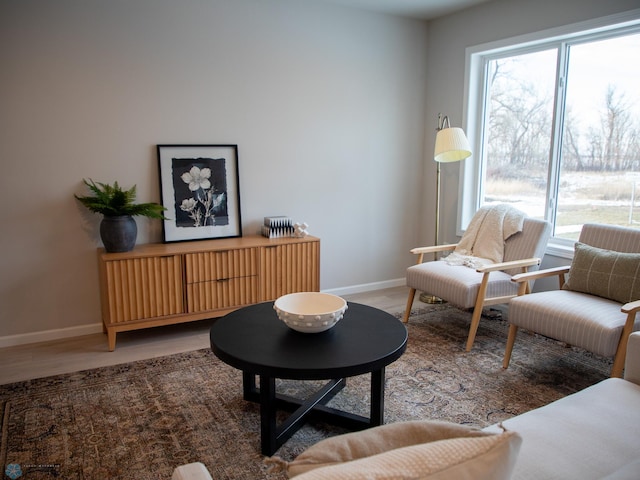 living area with dark hardwood / wood-style floors