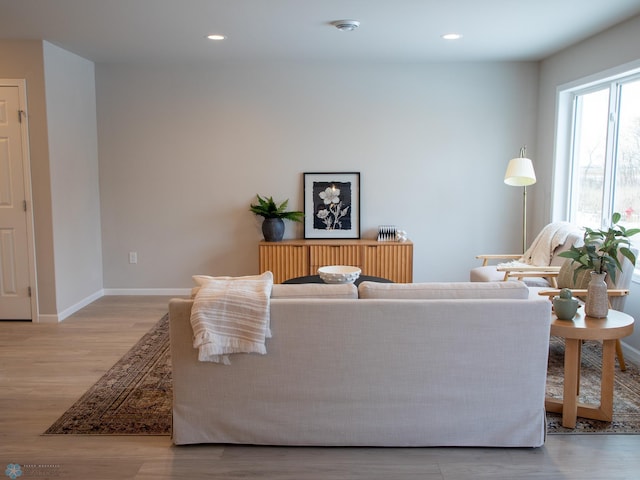 living room with light wood-type flooring