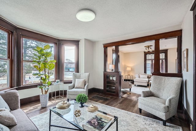 723 Lowry Ave NE, Minneapolis, MN 55418 - living room with dark wood-style floors, plenty of natural light, baseboards, and a textured ceiling