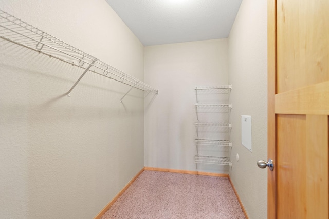 walk in closet with carpet