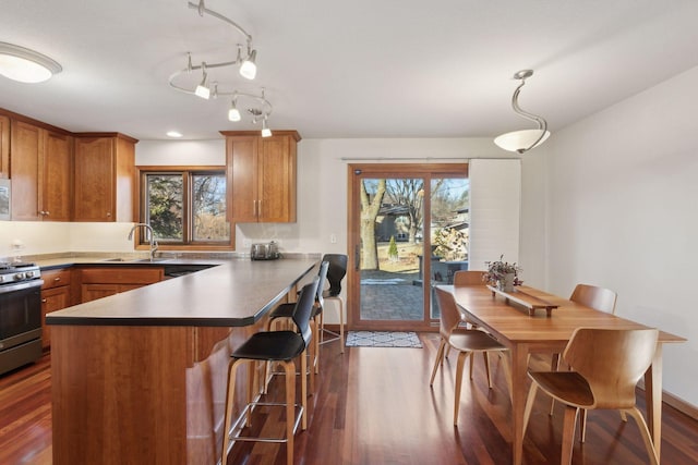 kitchen with a healthy amount of sunlight, sink, stainless steel gas range, and dark wood-type flooring