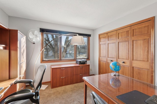 carpeted office with a textured ceiling