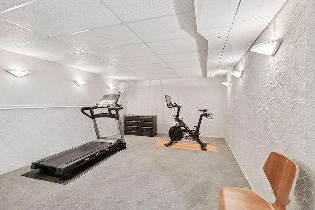 exercise area featuring a paneled ceiling and carpet flooring