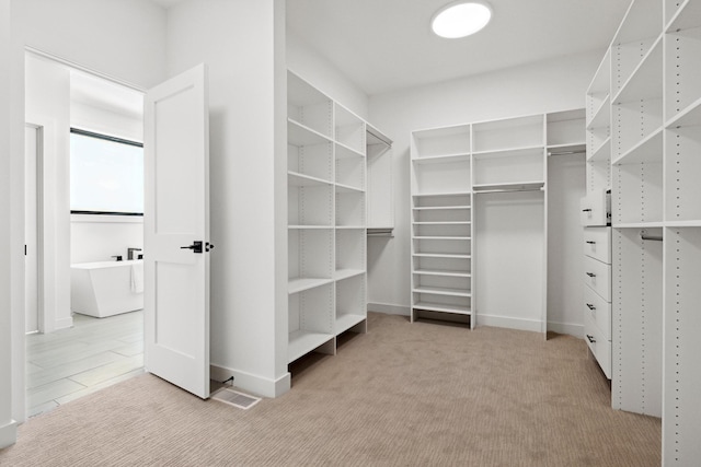 spacious closet featuring light colored carpet