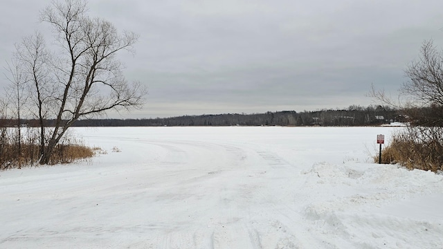 view of yard layered in snow