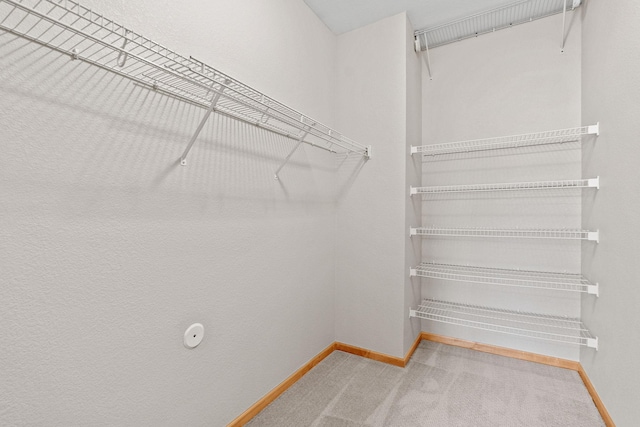 walk in closet with carpet flooring