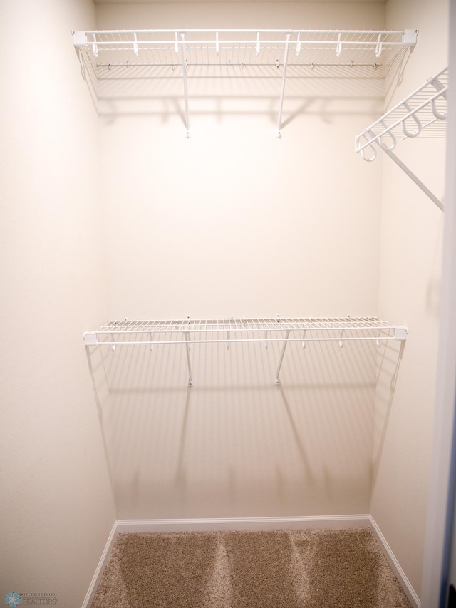 spacious closet featuring carpet flooring