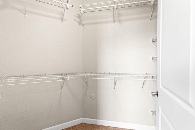 spacious closet featuring carpet floors