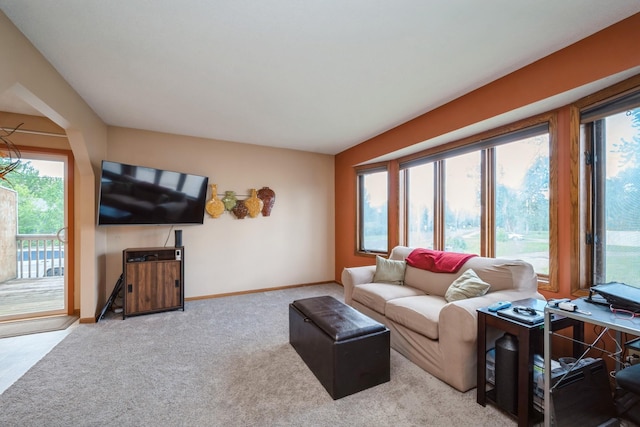 14962 Dodd Blvd, Rosemount, MN 55068 - living room with baseboards and carpet flooring